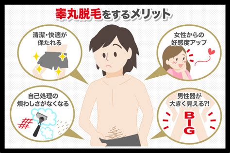 きんたまに毛|睾丸（玉袋）の毛の処理方法は？脱毛のメリットや安。